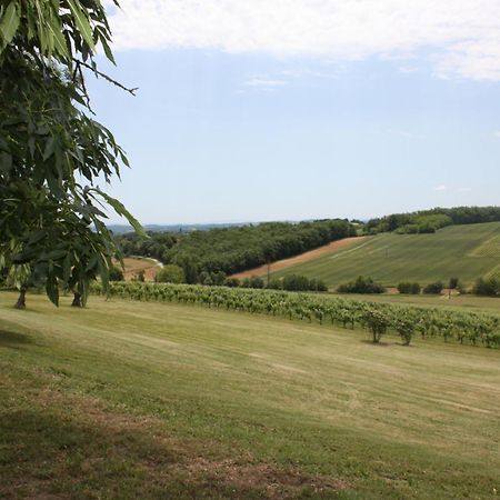 Domaine De Perches Bed & Breakfast Gaillac Ngoại thất bức ảnh