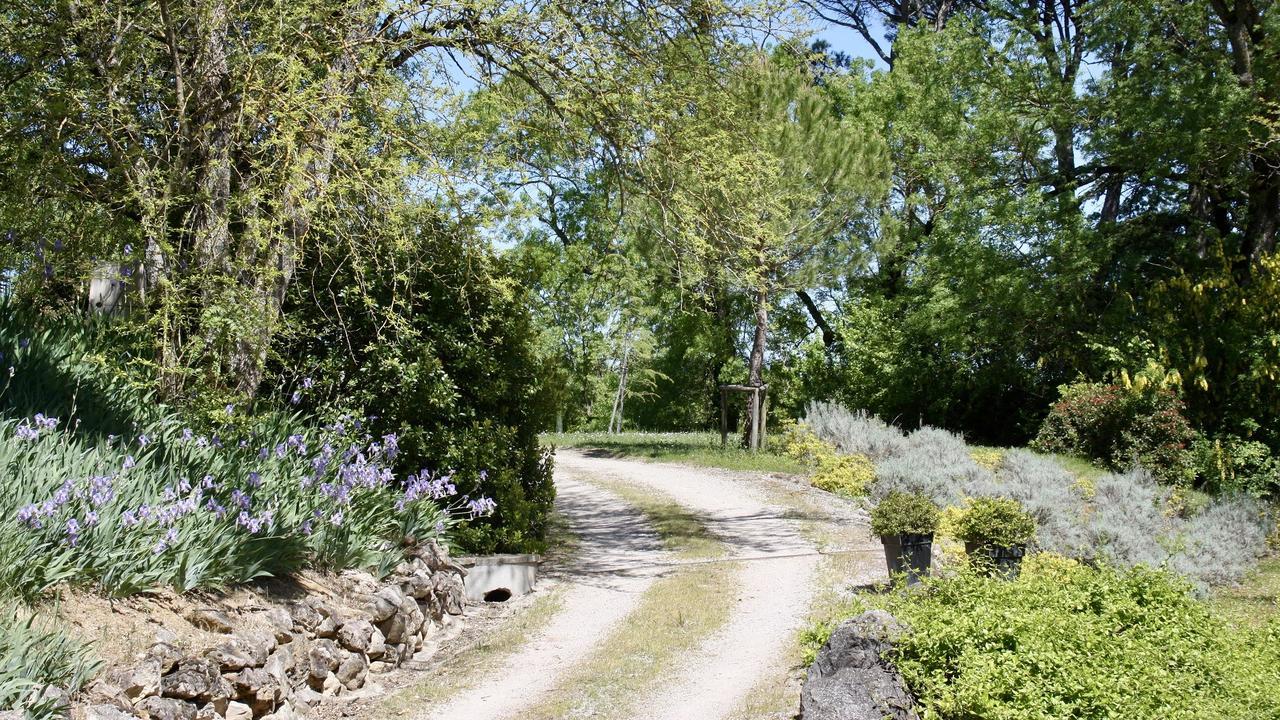 Domaine De Perches Bed & Breakfast Gaillac Ngoại thất bức ảnh